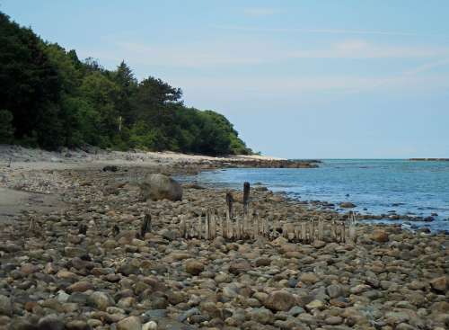 Sea Baltic Sea Coast Beach