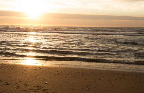 Sea Holland Beach Sunset