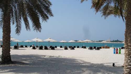 Sea Palm Trees Beach Water White Beach Nature