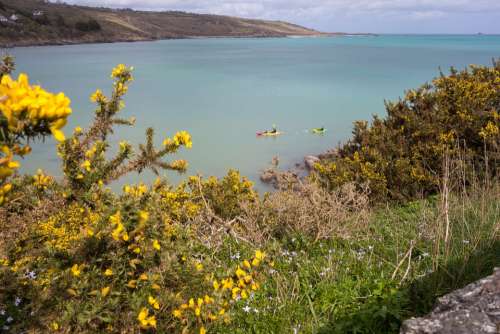 Sea Coast Cornwall Rocky Coast Water Beach Bay