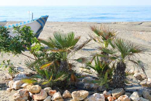 Sea Beach Spain Sand Costa Del Sol Water Wave