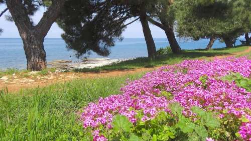 Sea Adriatic Sea Croatia Part Wave Rocky Blue