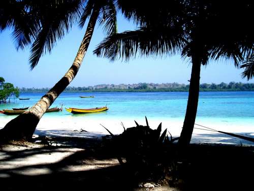 Sea Beach Blue Water Ocean Summer Nature Travel