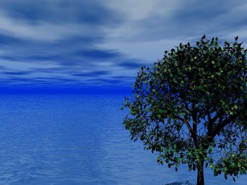 Sea Ocean Sky Clouds Tree Blue Branches Nature