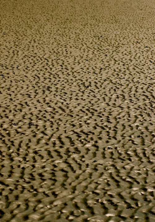 Sea Watts Wadden Sea North Sea Sand Wave Abstract