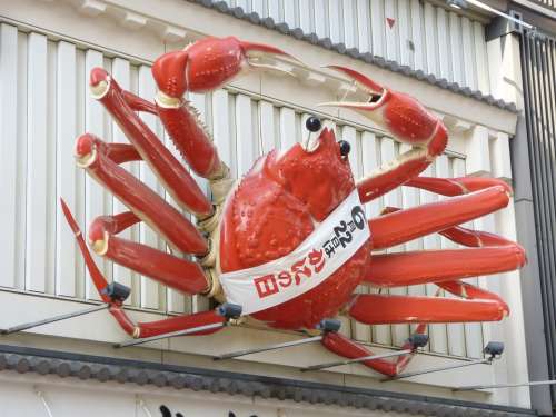 Seafood Crab Japan Osaka Restaurant