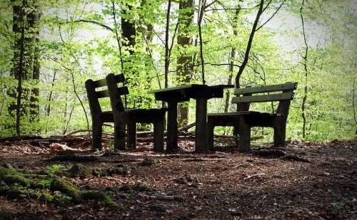 Seating Arrangement Nature Resting Place Rest