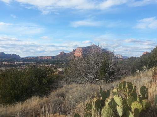 Sedona Arizona Castle Rock Red Rocks Desert Cactus