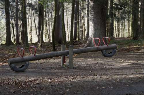 See Saw Forest Playground Forest Playground