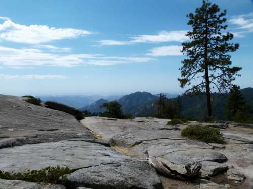 Sequoia National Park California Usa Landscape