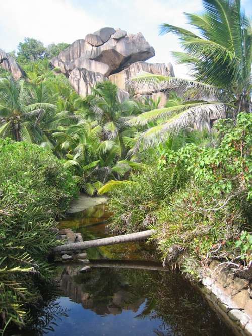 Seychelles Channel Tropical Vegetation Landscape