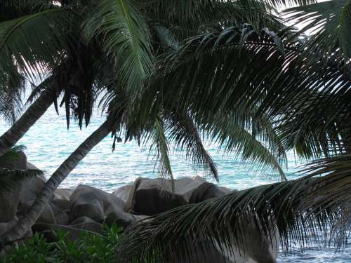 Seychelles La Digue Sea Island Indian Ocean