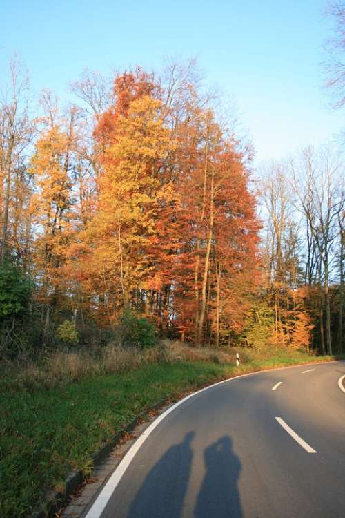Shadow Play Human Autumn Road Colorful Asphalt
