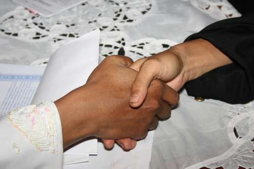 Shake Hand Handshake Agreement Hands Hand Shake