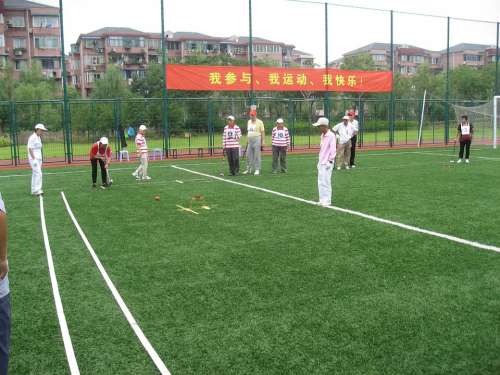Shanghai Croquet Old Age Community Sports