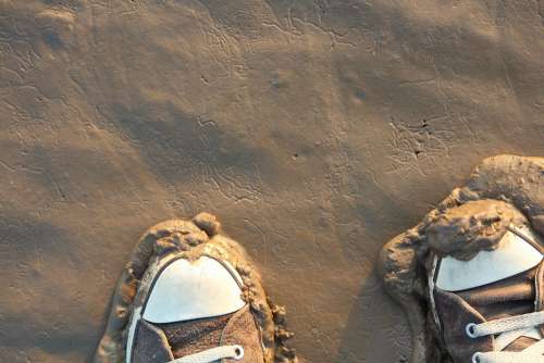 Shoes Watts Wadden Sea North Sea Mud Beach Ebb