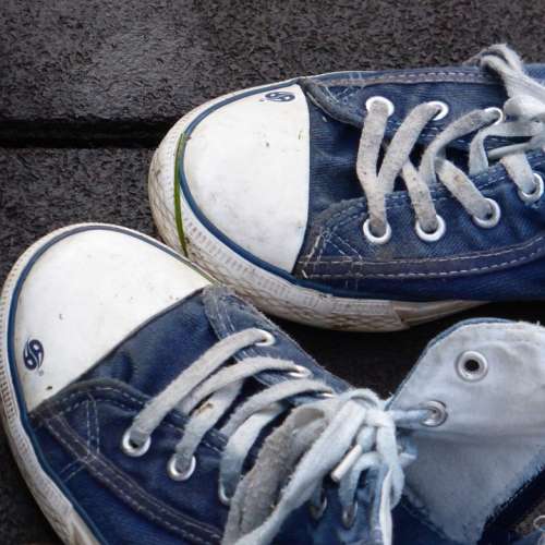 Shoes Sneakers Canvas Shoes Blue Sport