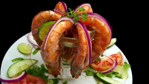 Shrimp Seafood Fresh Gourmet Cuisine Restaurant