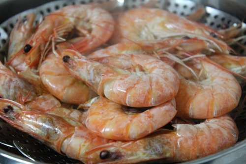 Shrimp Food Steamed Shrimp Cooking Seafood