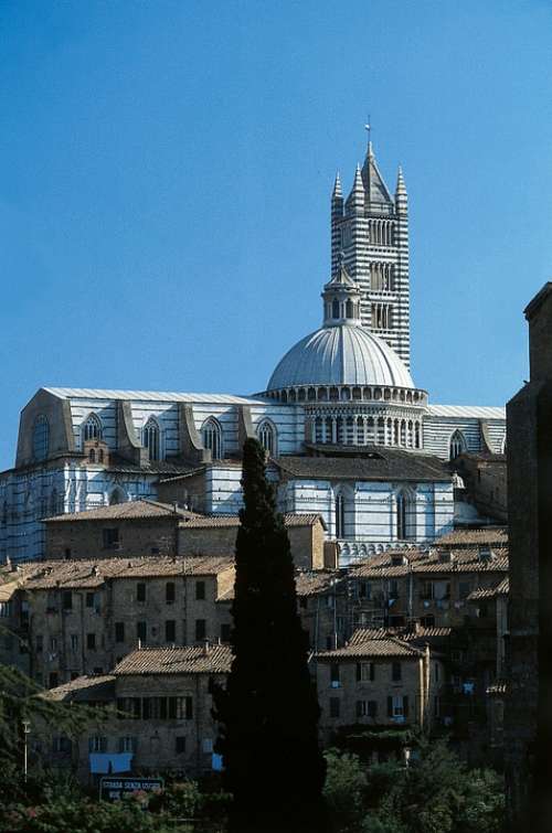 Siena Duomo Di Siena