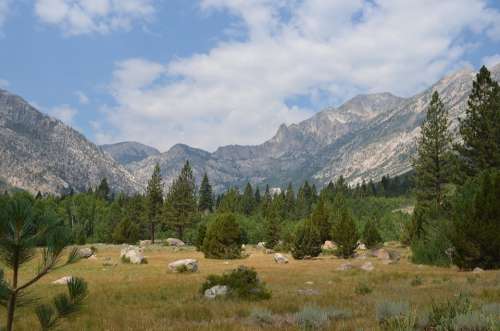 Sierra Nevada Landscape Mountains Pine Trees