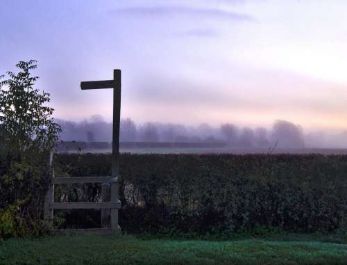 Signpost Dawn Morning Misty Mist Nature