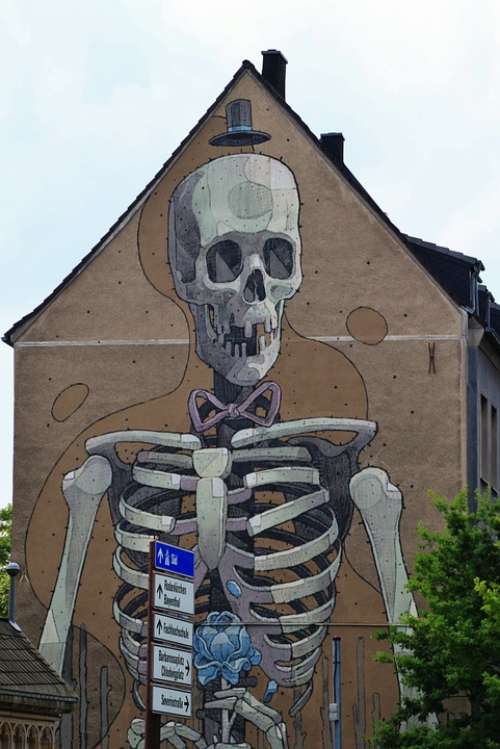 Skeleton Frame Bone Skull And Crossbones Hauswand