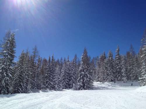 Ski Snow Sun Winter Landscape Mountain Alps