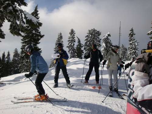 Skiers Skiing Winter Sports Skis Snow Fun