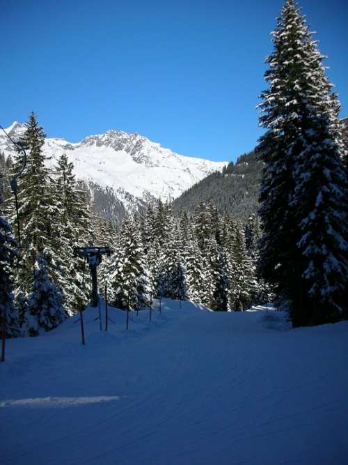 Skiing Backcountry Skiiing Winter Sports Sport Ski