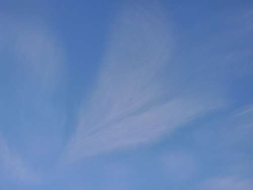 Sky Cirrus Cloud