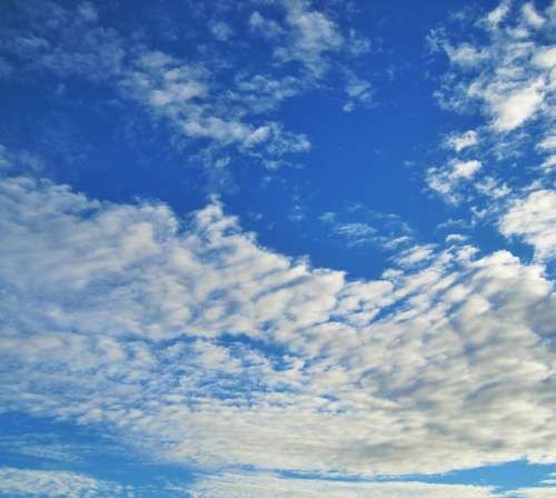 Sky Blue Vivid Cloud Flocky Massed