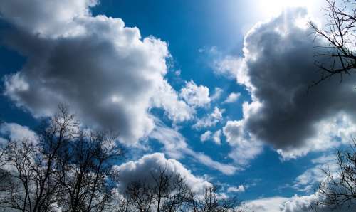 Sky Blue Nature Cloud Spring Trees Day S Weather