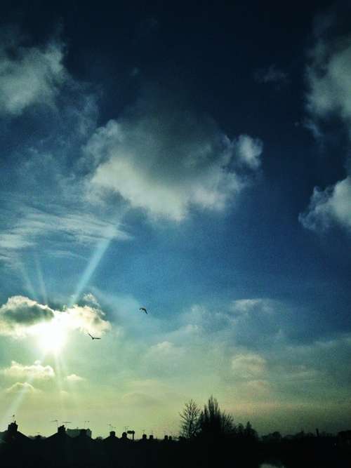 Sky Light Sunshine Sun Birds Clouds Nature