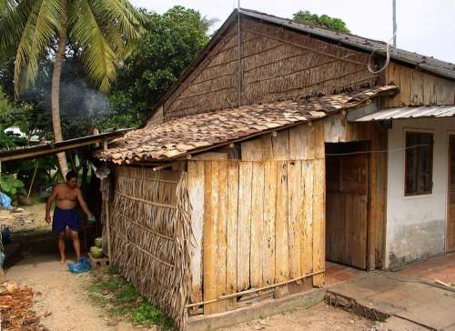 Slum Hut Poor Tropical Nature Home Cooking Life