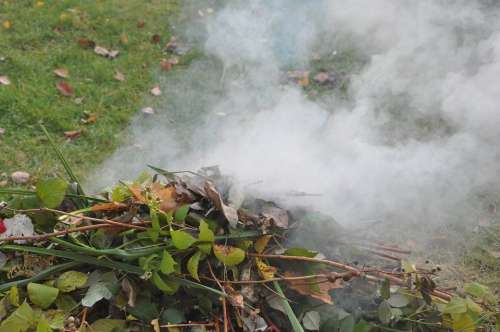 Smoke An Outbreak Of Garden Autumn Cleanup Foliage