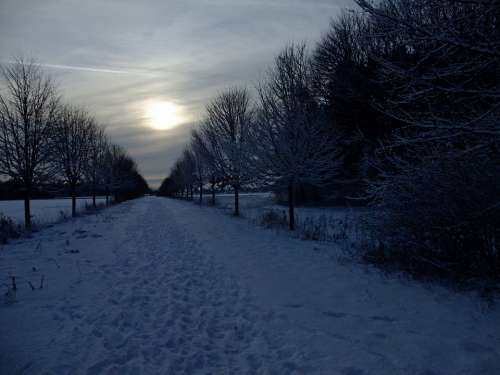 Snow Wintry Backlighting Mystical Gloomy