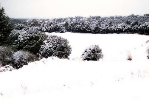 Snow Nevada Winter Landscape Snowy Landscape White