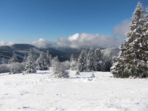 Snow Snow Landscape Black Forest Wintry Feldberg