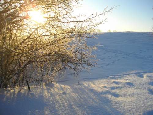 Snow Nature Sun Winter