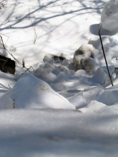 Snow Cold Light Winter Field