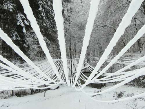 Snow Wires Iced Winter