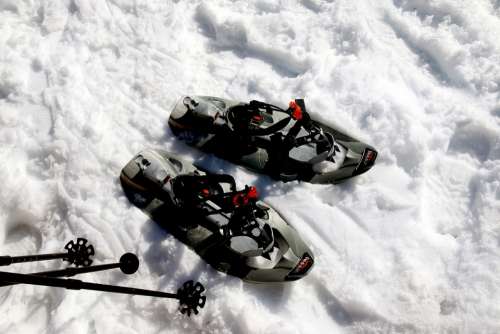Snow Shoes Snowshoeing Snow Alpine Mountains