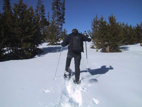 Snowshoeing Snow Shoes Snow Hiking Sport Go