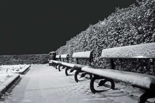 Snowy Snow Frost Seasons Benches Bench Black