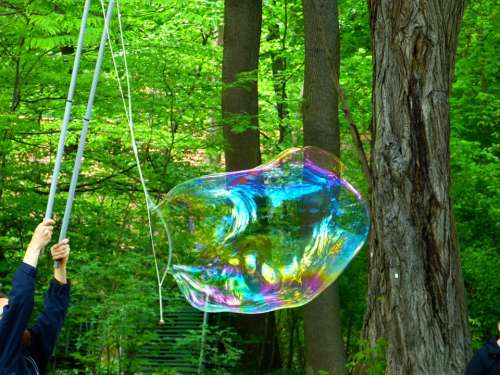 Soap Bubble Flying Weightless Shimmer Float Airy