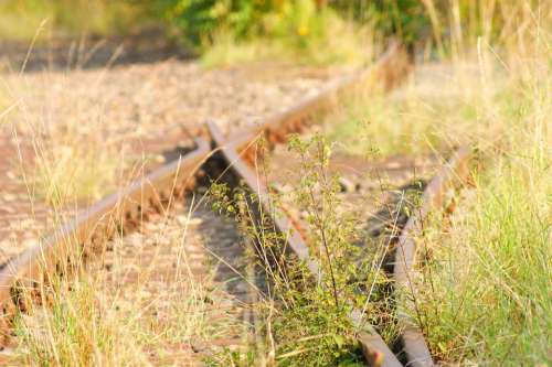 Soft Overgrown Track Mystical Lapsed Rails Rusted