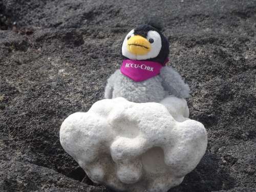 Soft Toy Tufa Stone Figure Beach Penguin