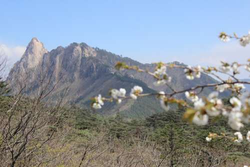 Sokcho Mt Seoraksan Peaks