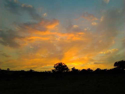 Solar Clouds Tree